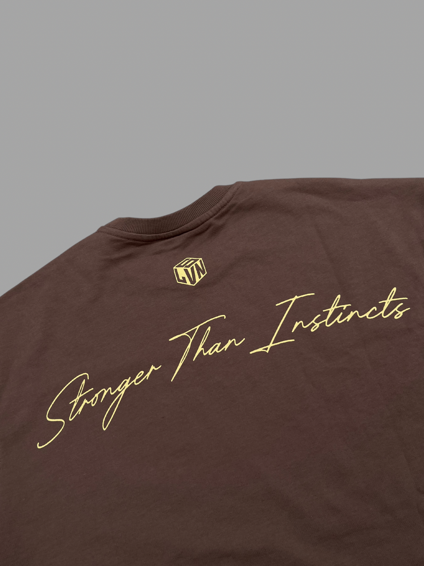 STRONGER THAN INSTINCTS OVERSIZED T-SHIRT (MOCHA)