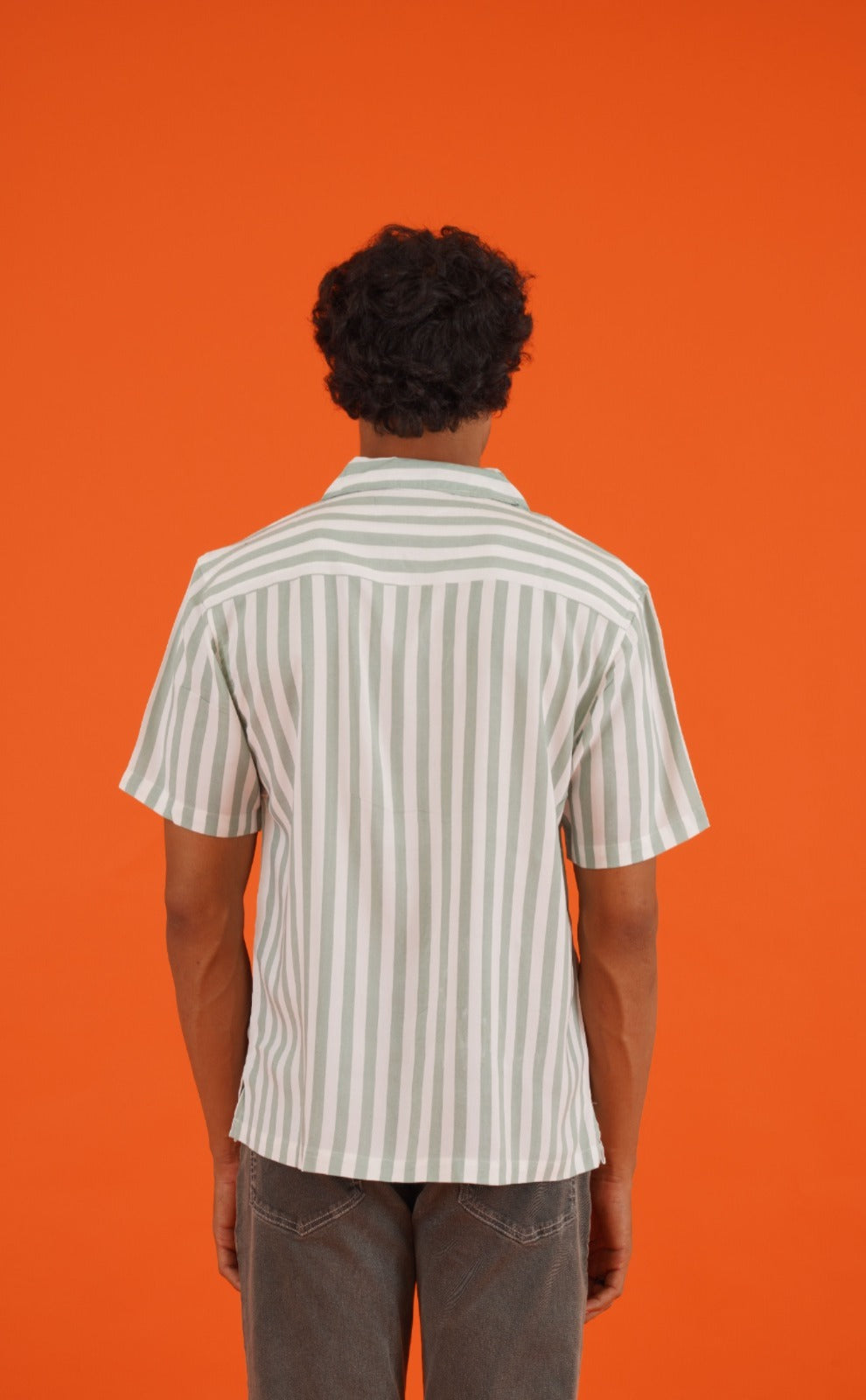 Striped Shirt (Green White)